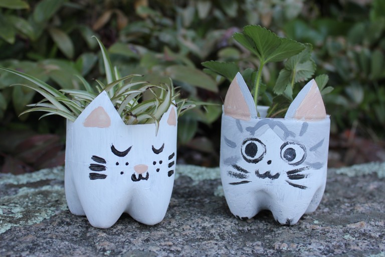 Des petits chats pots !